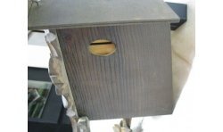 Cuckoo Clock AWC-309