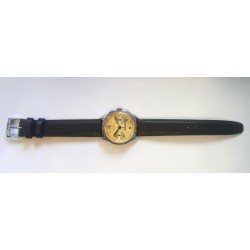 A.E.C. Watch AWW-403