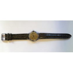 Viking-Sport AWW-760