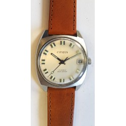 Citizen Para Water AWW-761