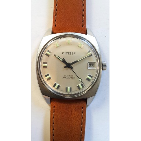 Citizen Para Water AWW-761