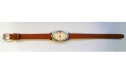 Citizen Para Water AWW-761