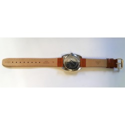 Citizen Para Water AWW-761