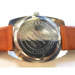 Citizen Para Water AWW-761