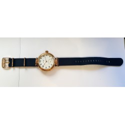 Louis William Gabus AWW-832