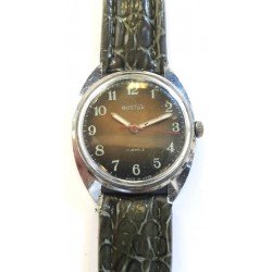 Vostok AWW-570