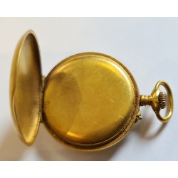 Rob.Waldmann APW-346