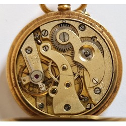 Rob.Waldmann APW-346