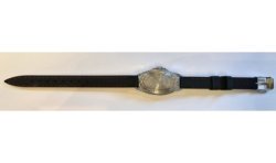 Komandirskie AWW-538