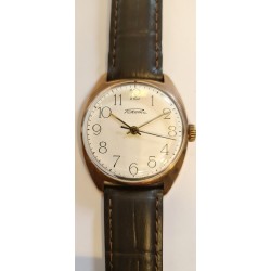 Raketa AWW-565