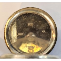 Excelsior Park APW-362