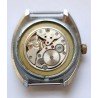 Wostok AWW-1300