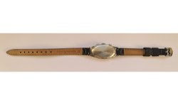 Fleuron Watch AWW-1315