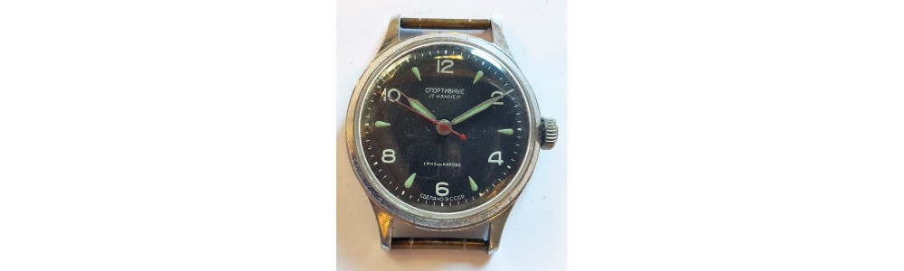 Спортивные